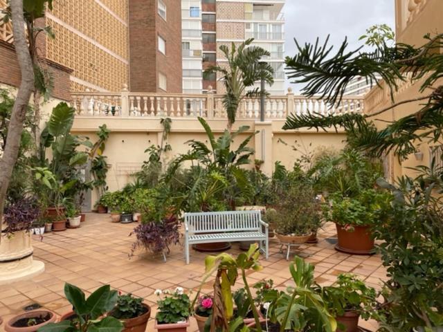 בנידורם Precioso Apartamento A Estrenar En Primera Linea De Playa מראה חיצוני תמונה